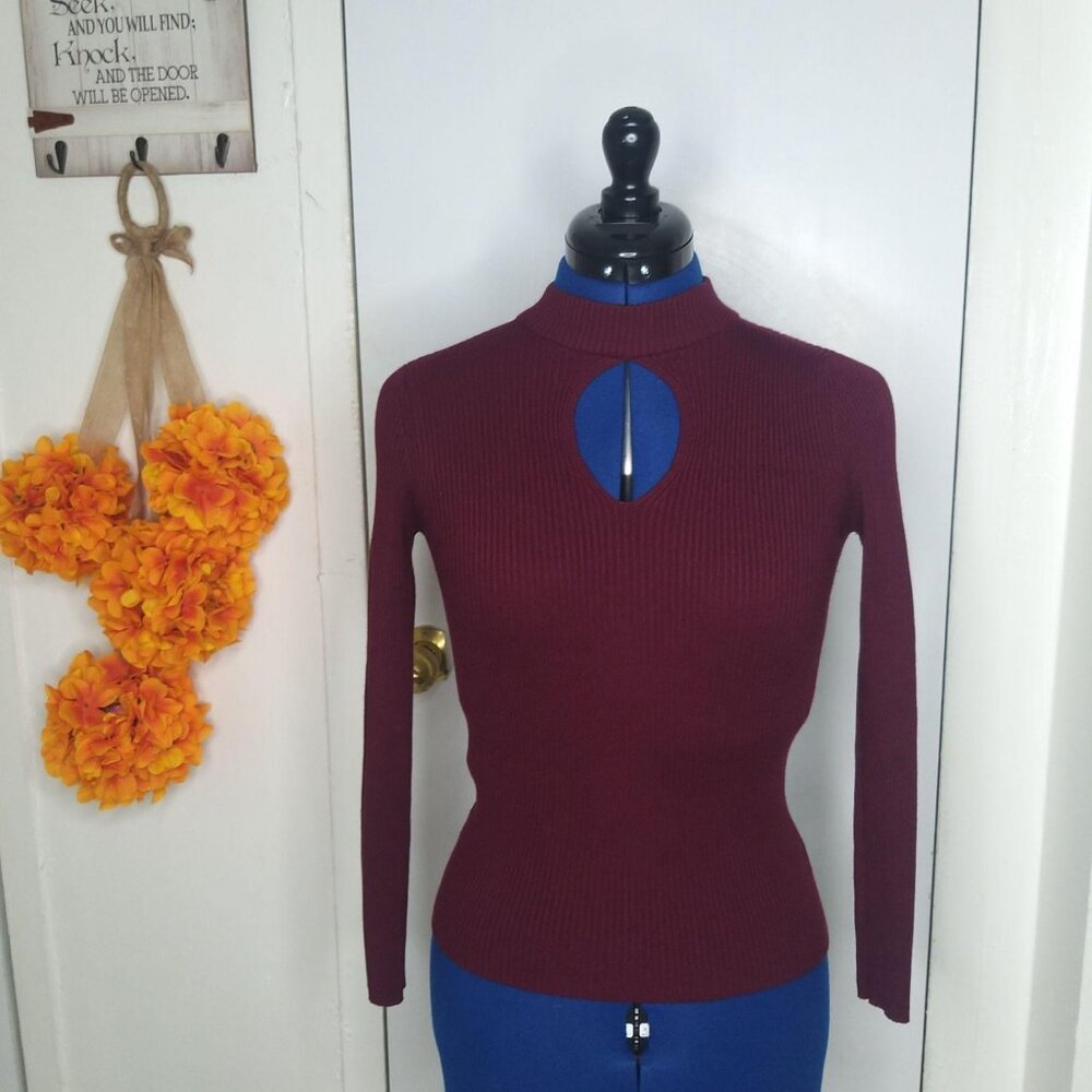 Ambience Burgundy Spandex Turtleneck Size M